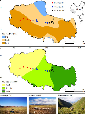 Climate in Tibet